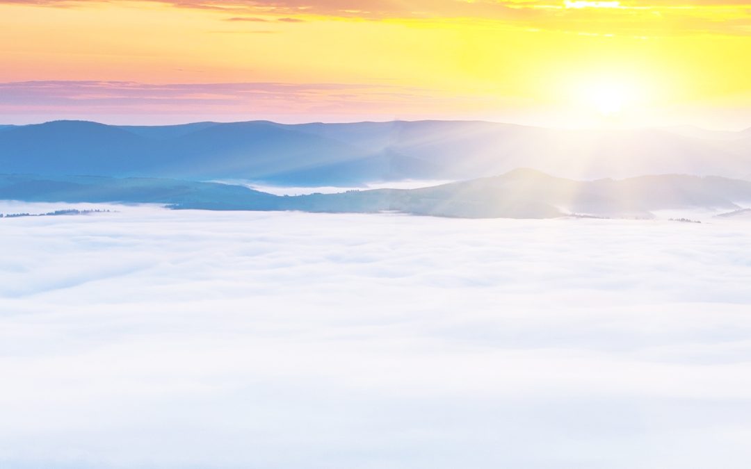 Peace in Stillness