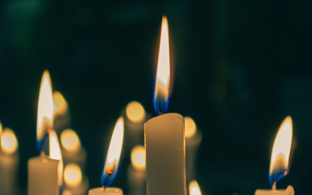 Salt & Light