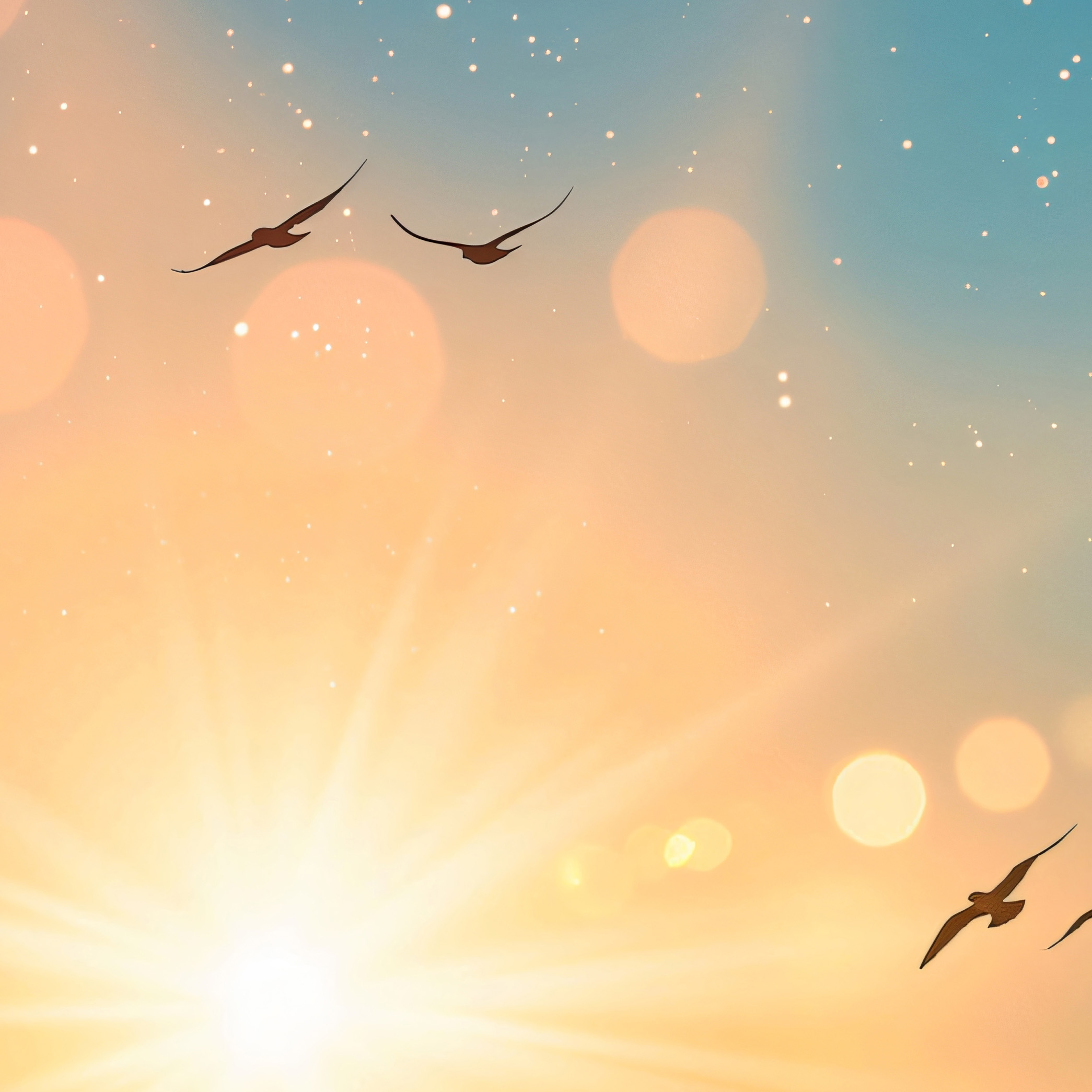 Reflections in the water of the Yosemite Mountains in Mirror lake, Yosemite. California, United States